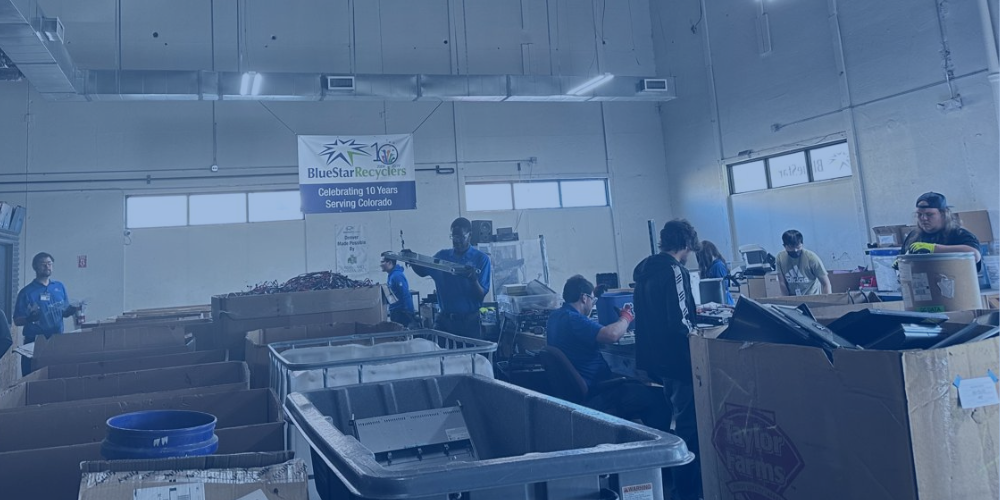 Blue Star Recyclers: Harnessing An Untapped Workforce